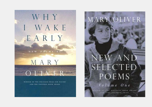 Why I Wake Early / New and Selected Poems
